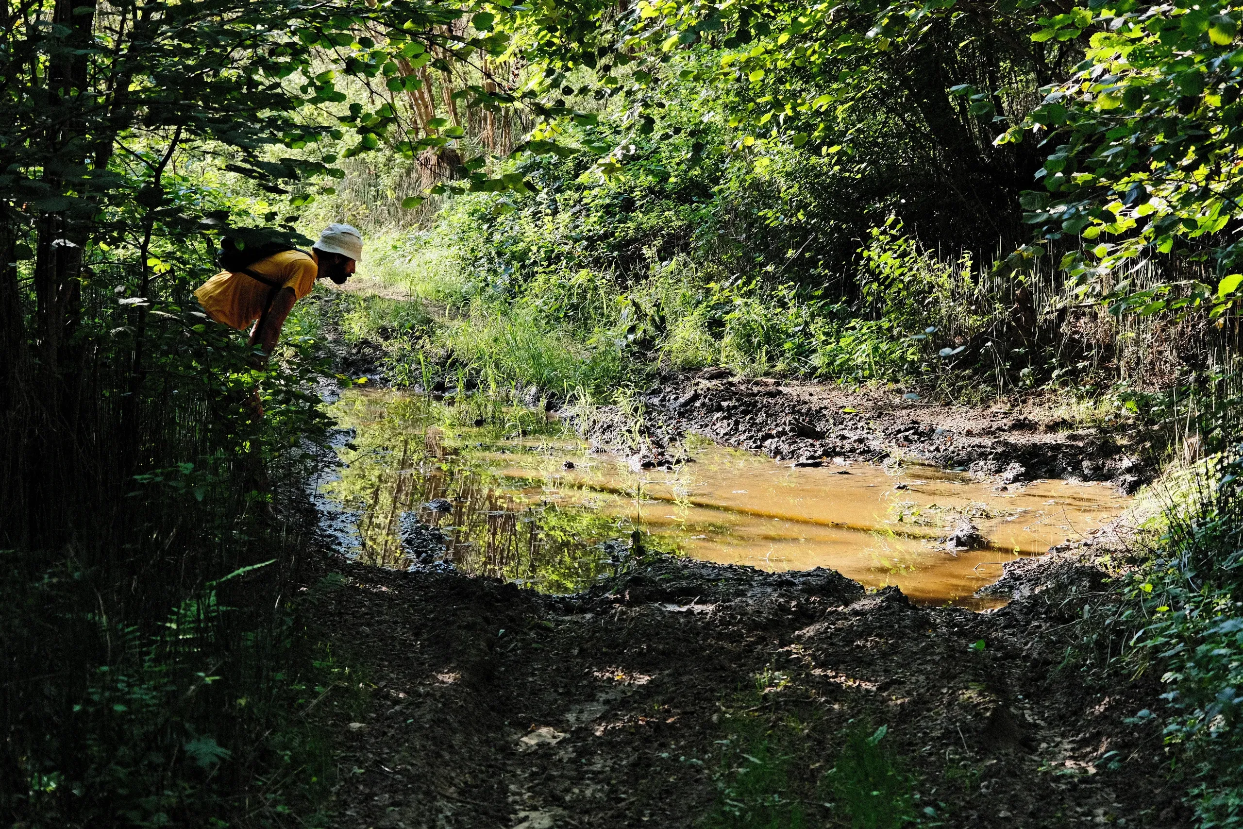 Biodiversità nei boschi di San Tonco