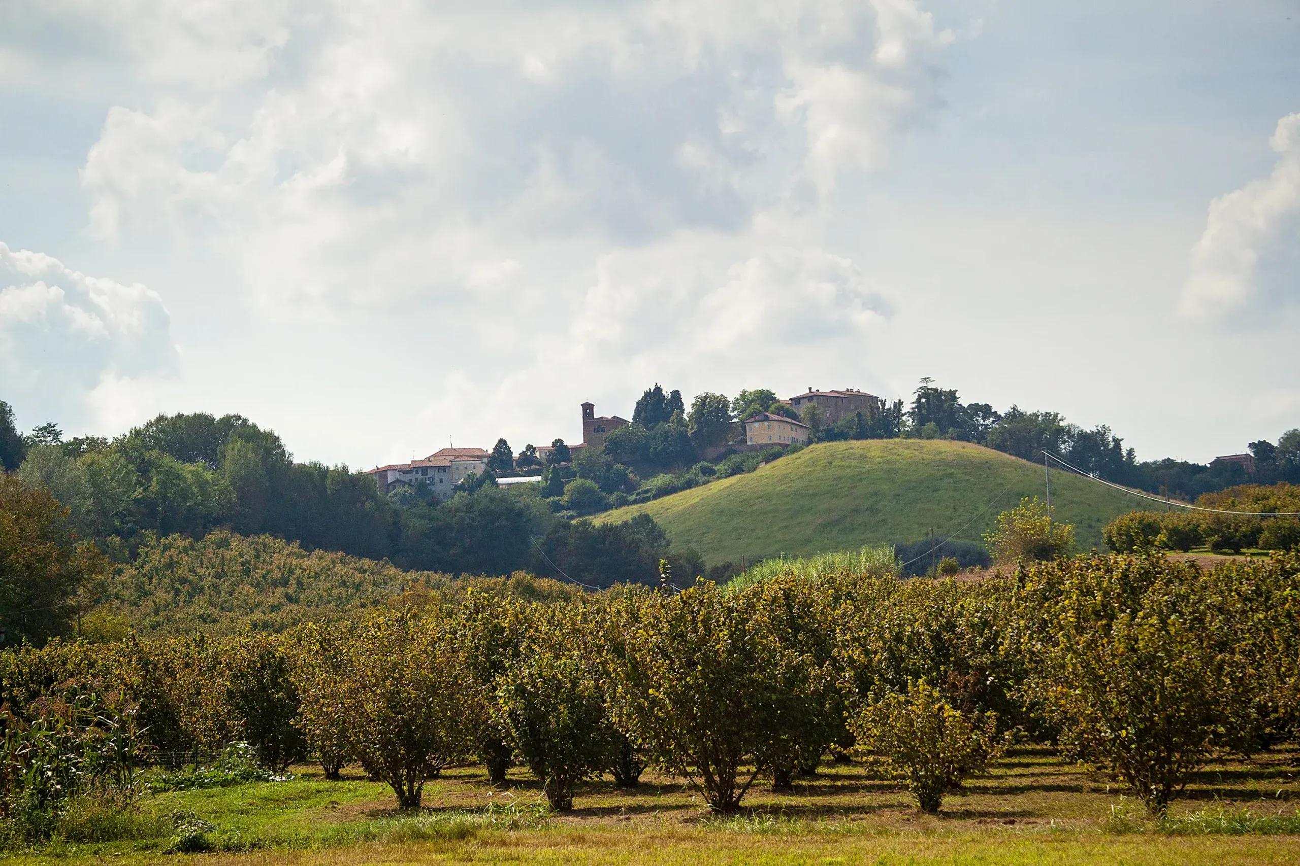 Comune di Settime
