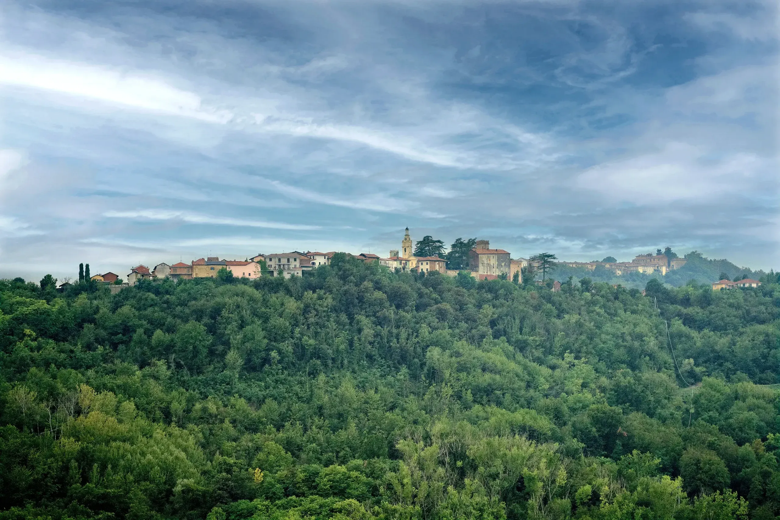 Immersioni di biodiversità e suggestioni locali